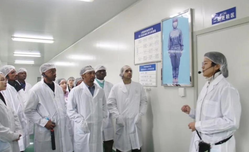 电子游戏
