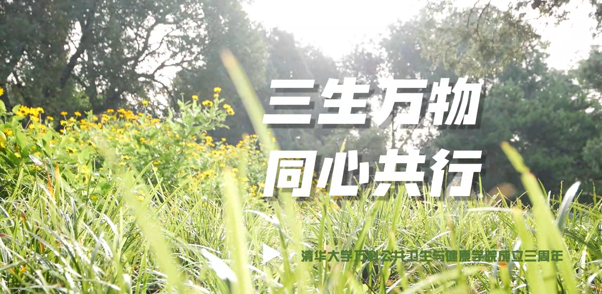 电子游戏