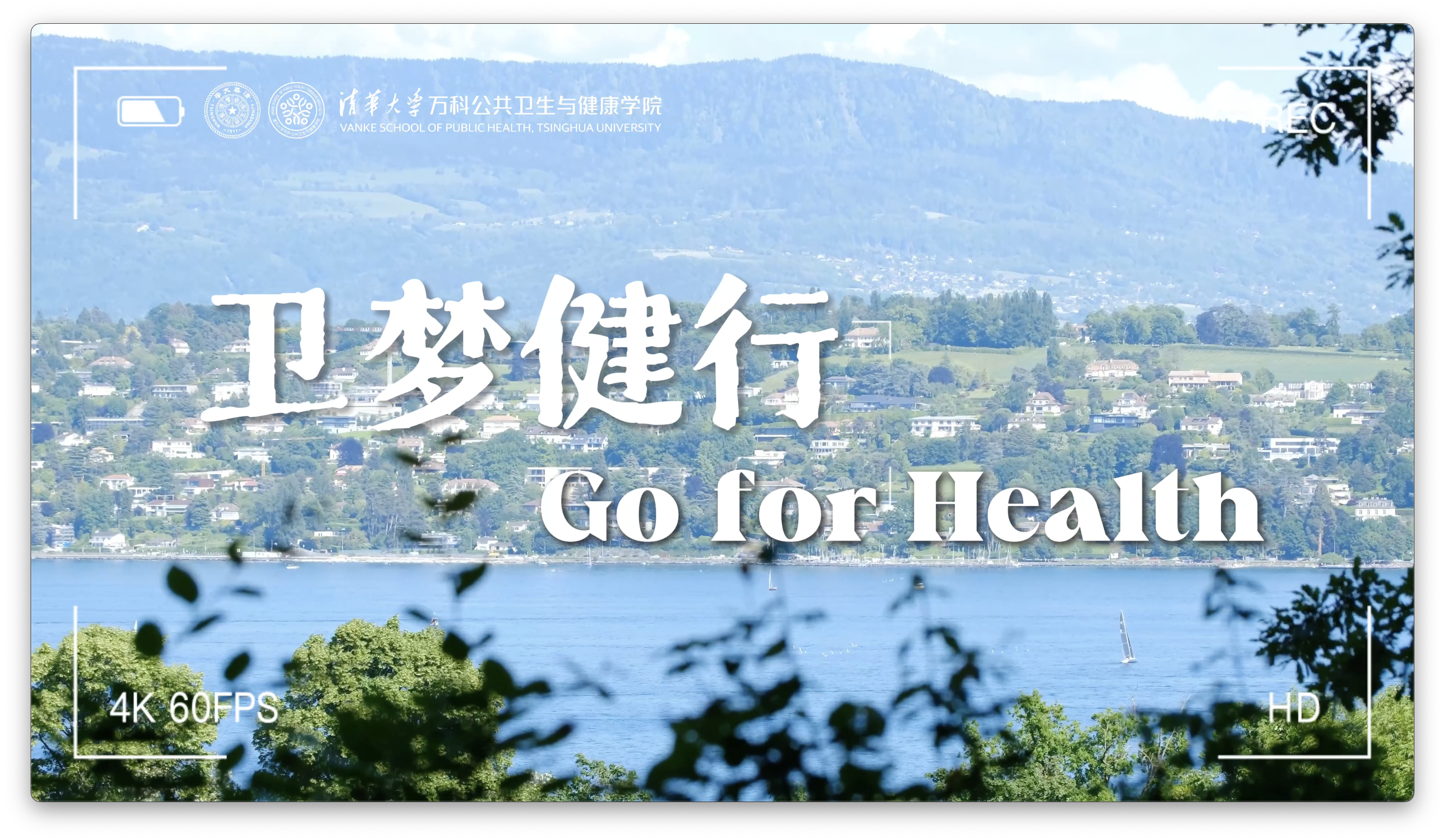 电子游戏